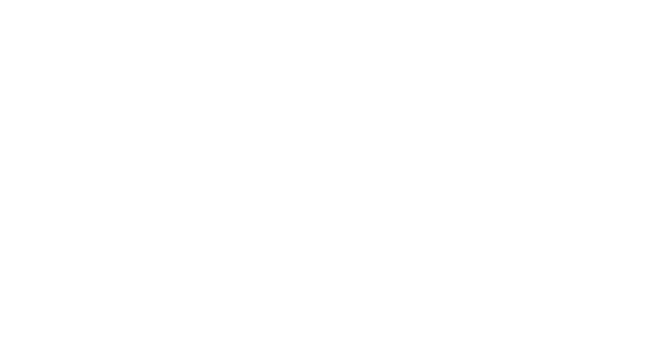 FEICOM